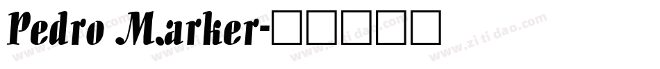 Pedro Marker字体转换